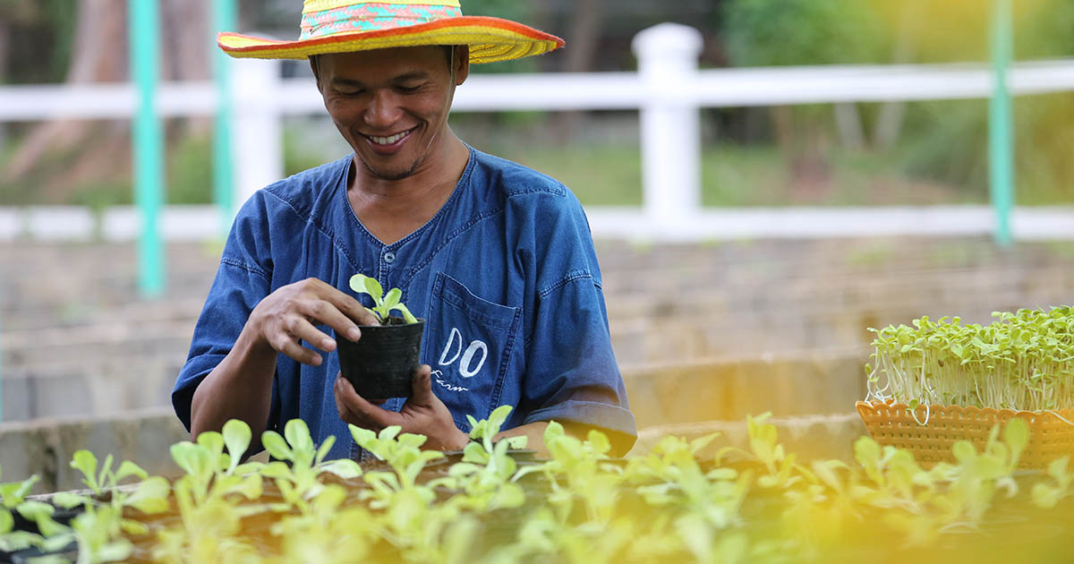 จากสนามโปโลสู่ DO Farm แปลงผัก นาข้าวบนผืนทราย ของ ดุสิตธานี หัวหิน