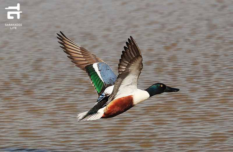 Hong Kong Wetland Park