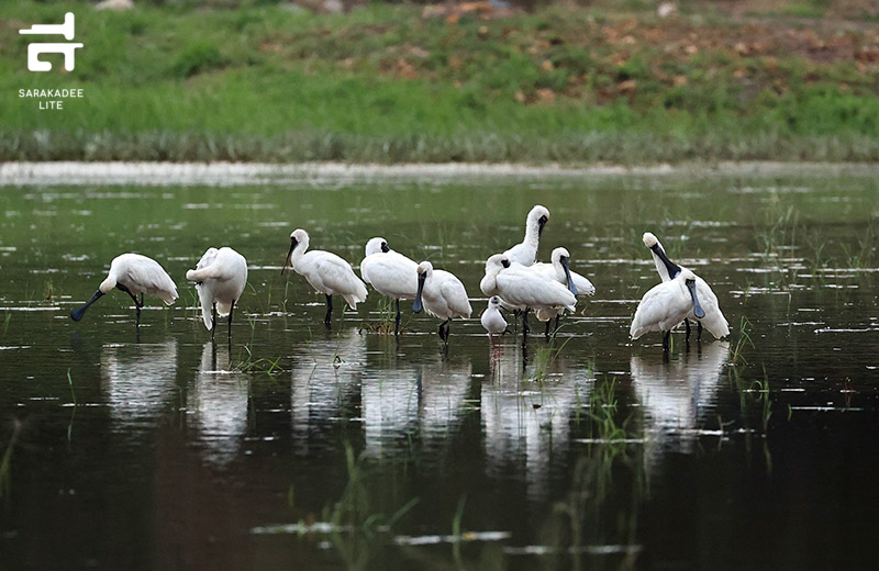 Hong Kong Wetland Park