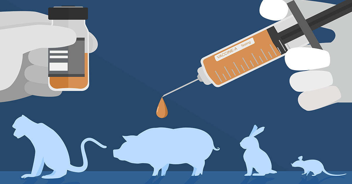 เปิดเบื้องหลังขั้นตอน สัตว์ทดลอง กลไกสำคัญงานวิจัย วัคซีนโควิด-19