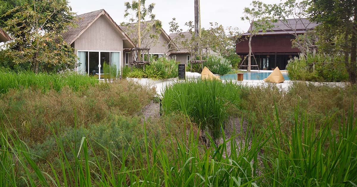 The Life Garden Boutique Farmstay   ฟาร์มสเตย์อุ่นหัวใจ ที่ชวนไปรู้จักสมุนไพรไทยให้มากขึ้น