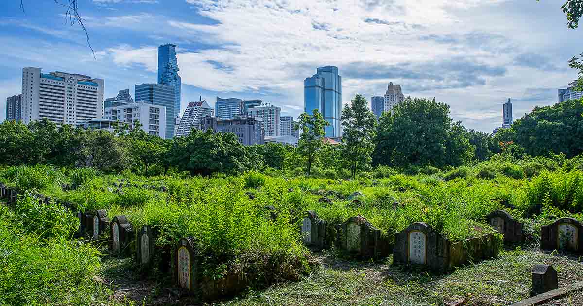 ป่าช้าวัดดอน : สุสานชาวจีนสมัย ร.5 สู่สวนสุขภาพในวงล้อมเมืองที่ทำให้ความน่ากลัวหายไป