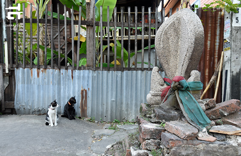 UNFOLDING BANGKOK