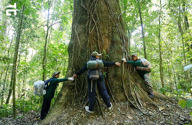 EGCO Forest Camp