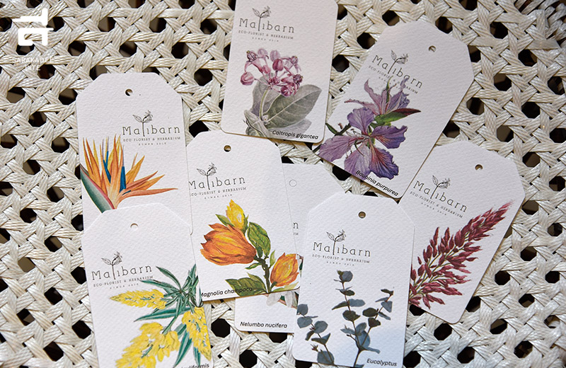 Malibarn : eco florist & herbarium
