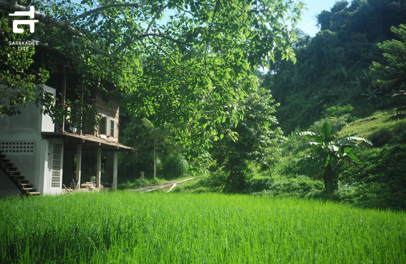 Forest Forest Farm & Stay