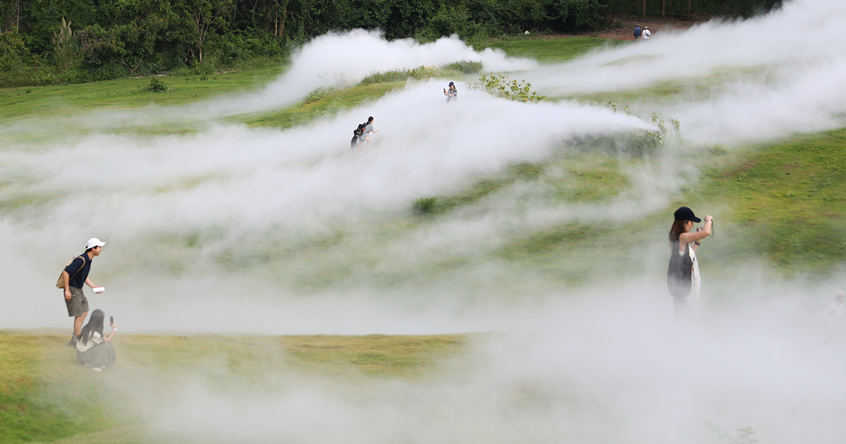 ฮีลใจกับศิลปะกลางผืนป่า Khao Yai Art Forest ศิลป่าที่รวมงานอาร์ตระดับโลก