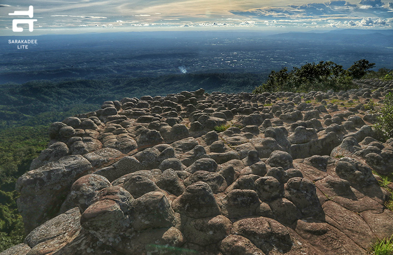 อุทยานแห่งชาติภูหินร่องกล้า
