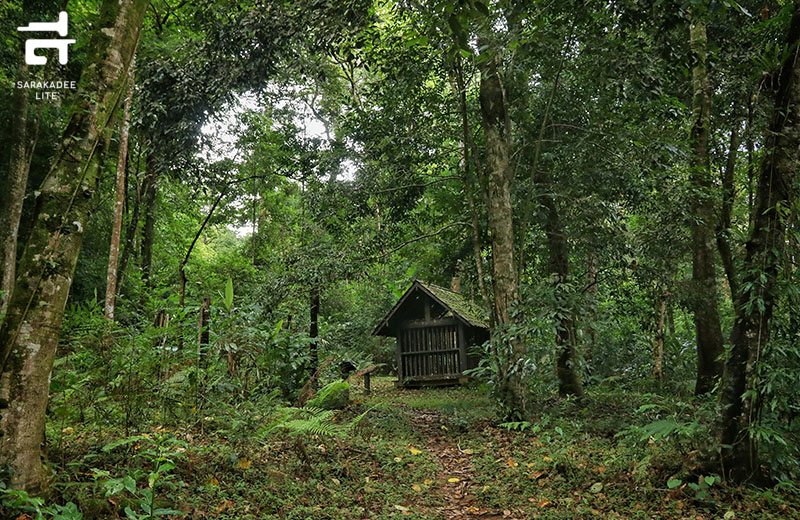 อุทยานแห่งชาติภูหินร่องกล้า