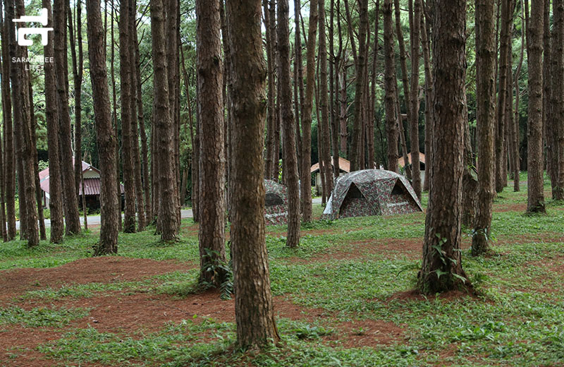 อุทยานแห่งชาติภูหินร่องกล้า
