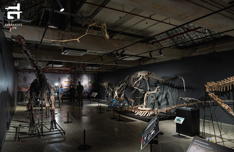 THAINOSAUR 