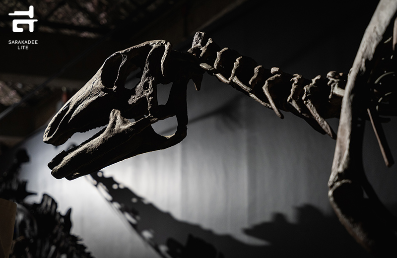 THAINOSAUR 