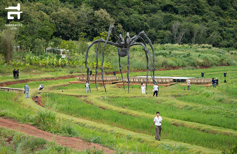 Maman