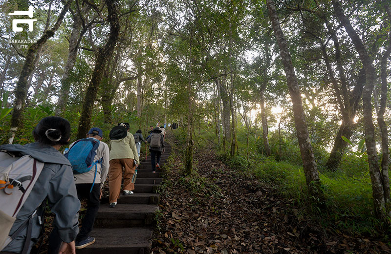 “เส้นทางศึกษาธรรมชาติยอดดอยปุย”