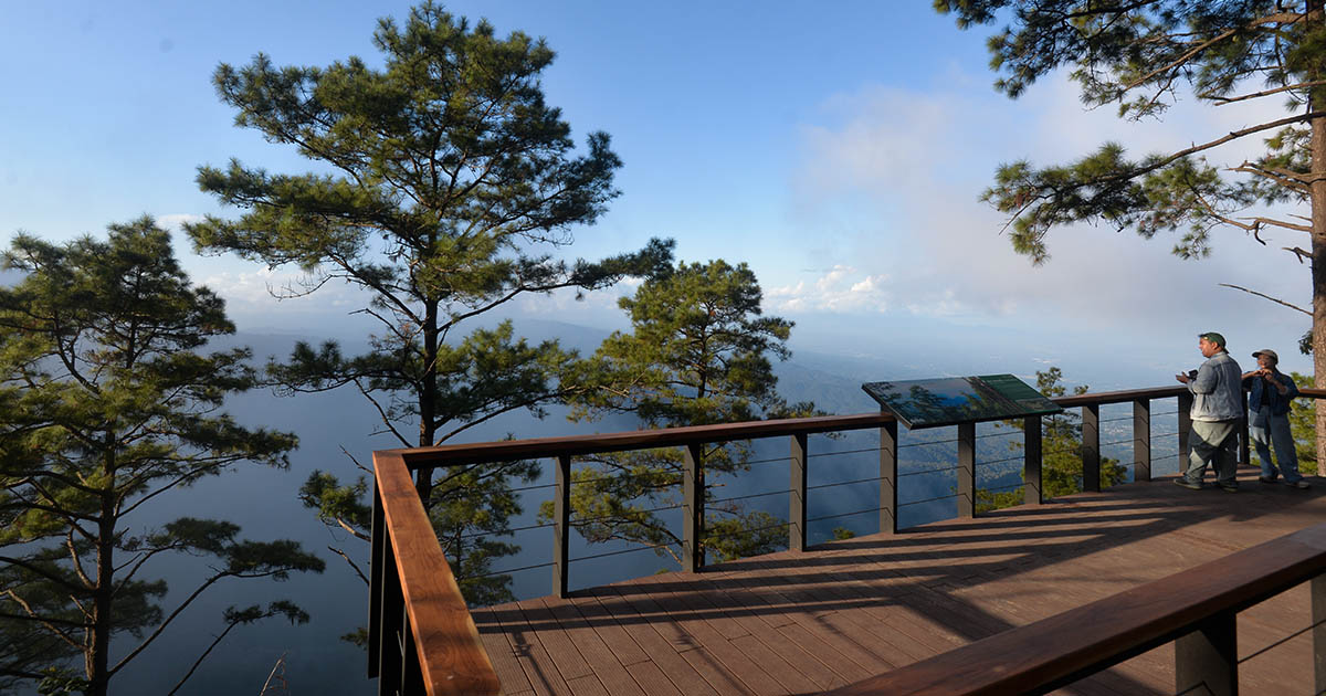 อาบป่า ห่มหมอก ฮีลใจ “เส้นทางศึกษาธรรมชาติยอดดอยปุย” ป่าหลังบ้านในนิเวศประวัติศาสตร์เมืองเชียงใหม่