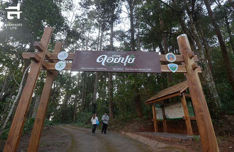 “เส้นทางศึกษาธรรมชาติยอดดอยปุย”