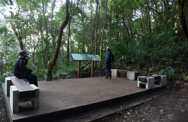 “เส้นทางศึกษาธรรมชาติยอดดอยปุย”