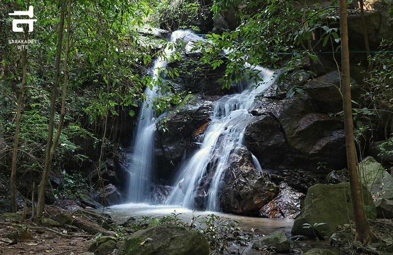 สวนพฤกษศาสตร์สมเด็จพระนางเจ้าสิริกิติ์