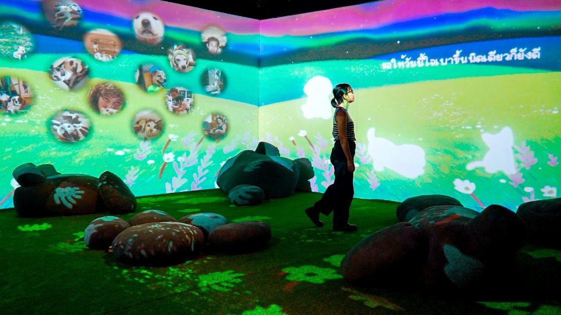 เปลี่ยนความเศร้าจากการกลับดาวของสัตว์เลี้ยงให้เป็นการเติบโตของจิตใจในนิทรรศการ พาใจกลับดาว