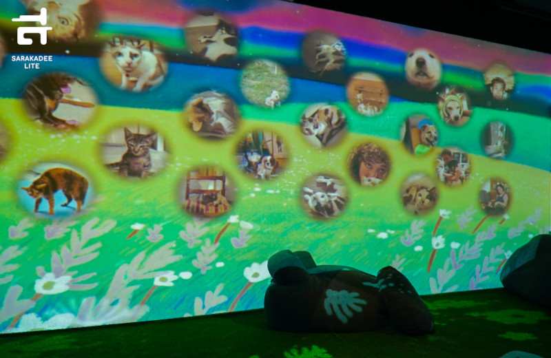 พาใจกลับดาว