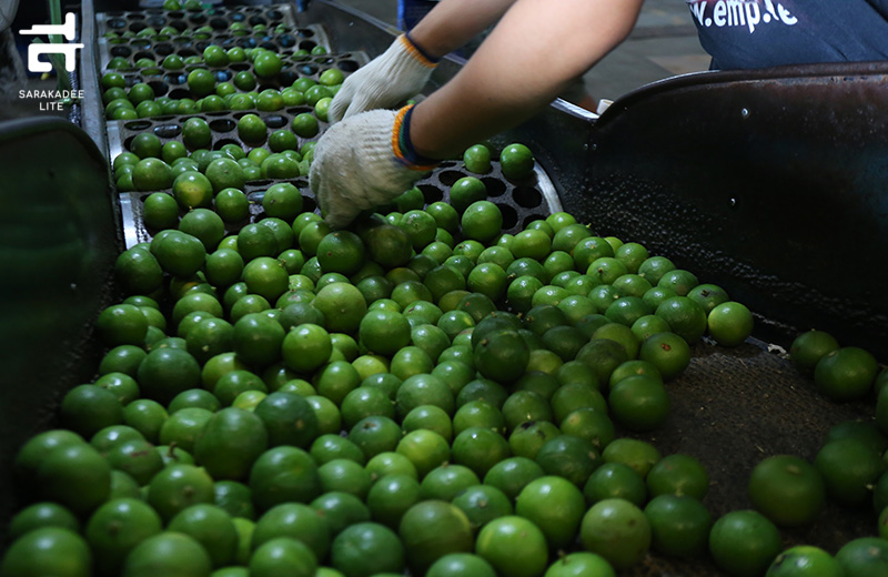 “รสเพ็ดรี”