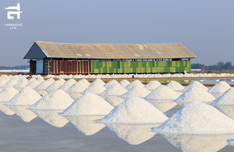 “รสเพ็ดรี”