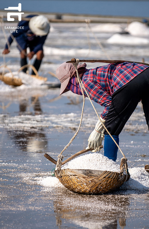 เพชรบุรี