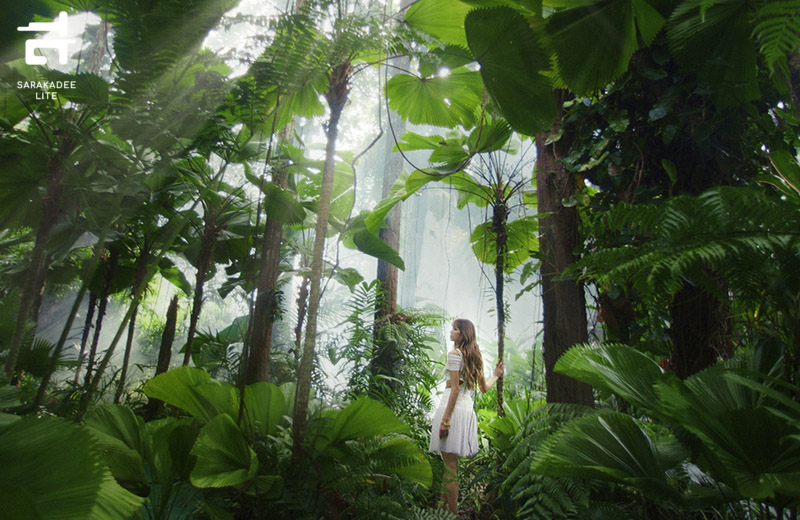 Amazing Thailand Ambassador