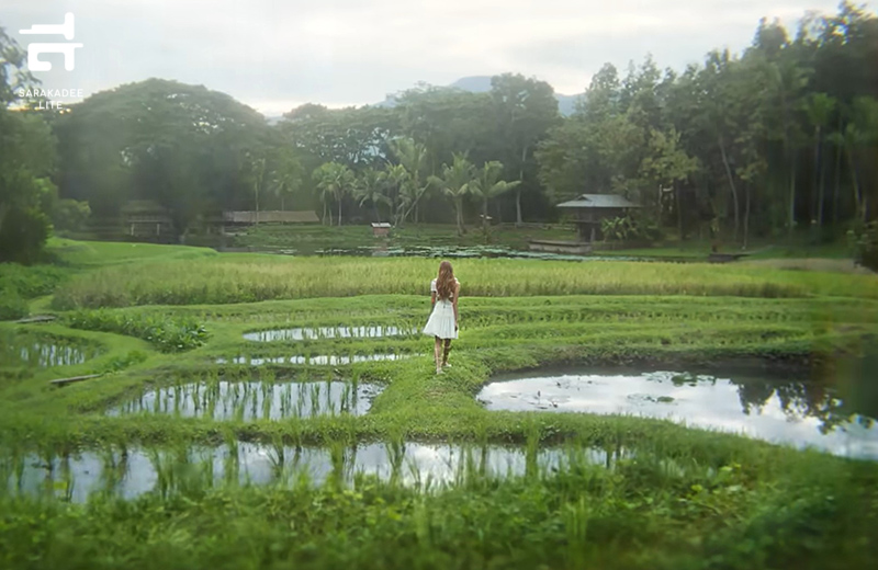 Amazing Thailand Ambassador