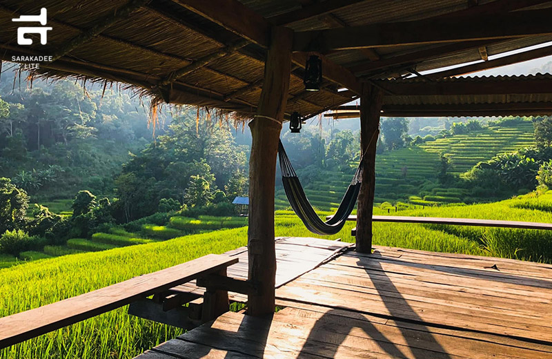 Amazing Thailand Ambassador