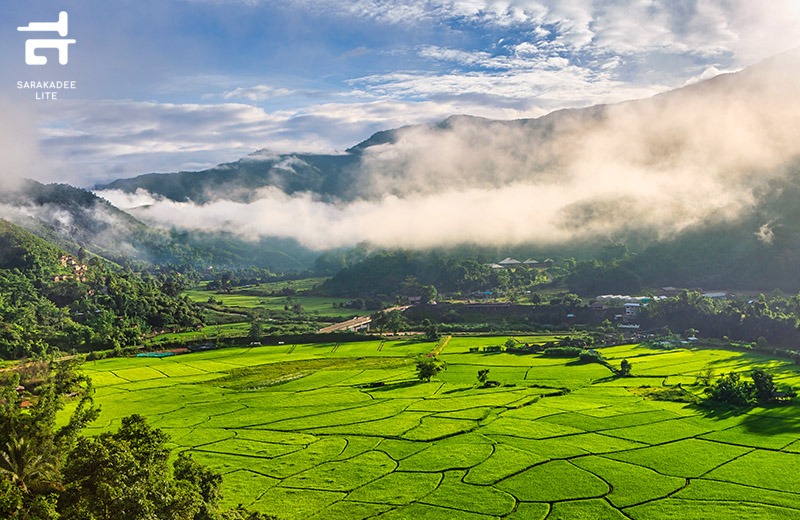 Amazing Thailand Ambassador