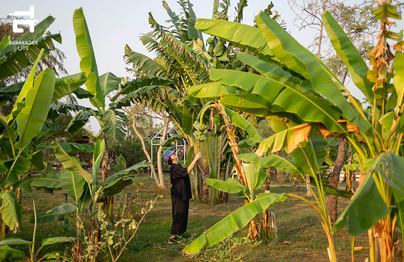สุพรรณบุรี