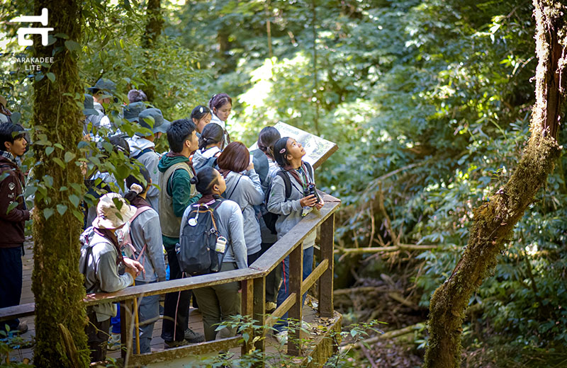 ค่ายเยาวชนเอ็กโกไทยรักษ์ป่า