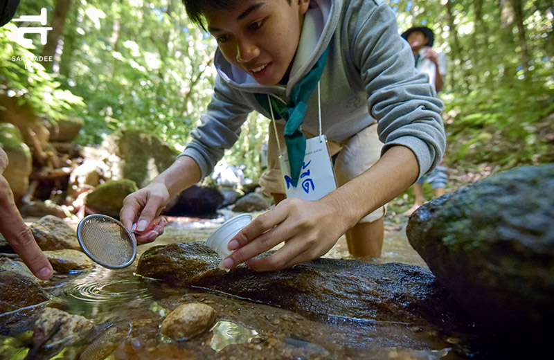 ค่ายเยาวชนเอ็กโกไทยรักษ์ป่า