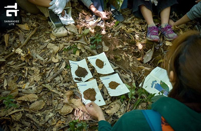 ค่ายเยาวชนเอ็กโกไทยรักษ์ป่า