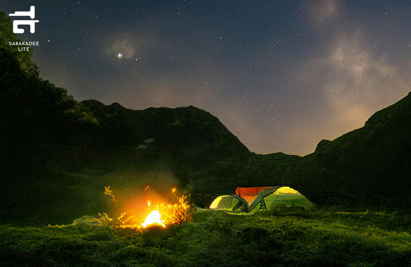 WILD AWAKE JOURNEY
